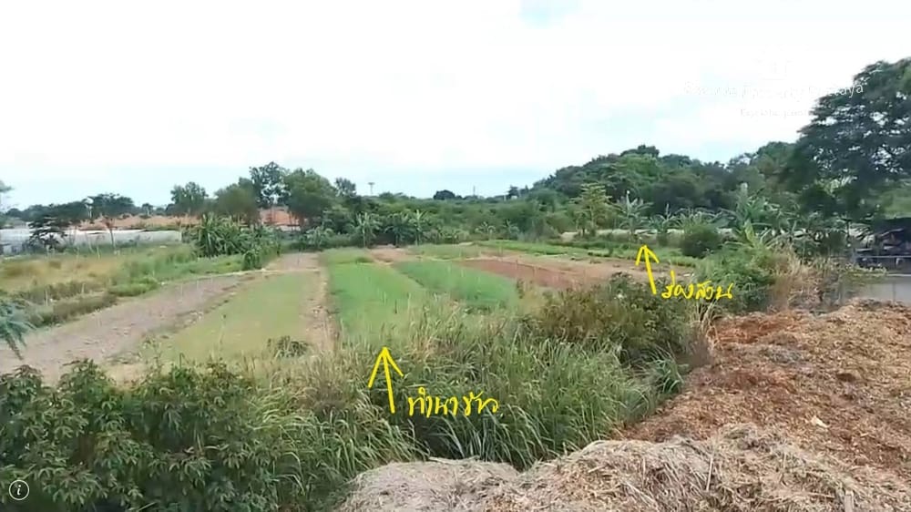 Prime Land for Sale in Jomtien, Pattaya - Conveniently Located Near Restaurants 4