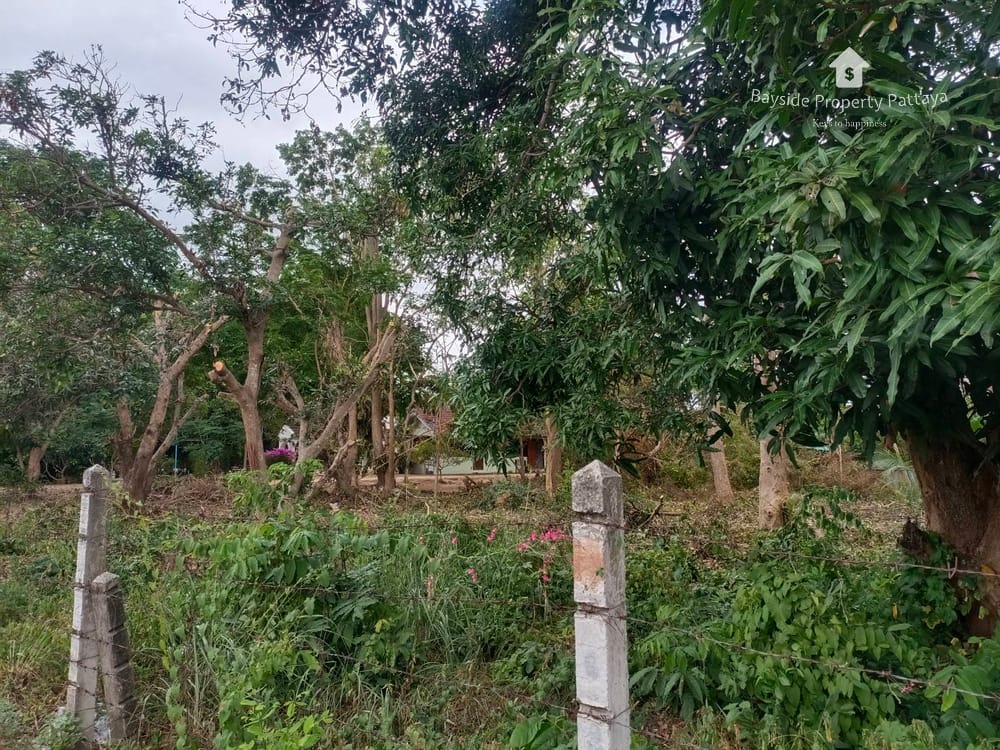 Prime Land for Sale Near Schools in East Pattaya 2