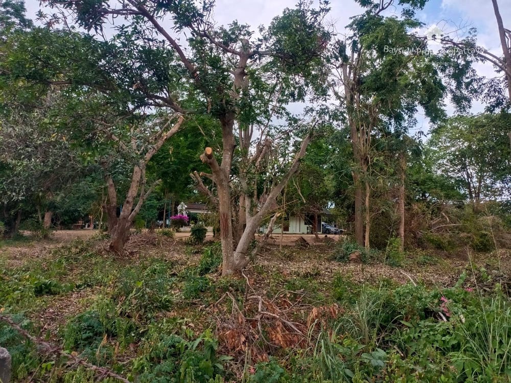 Prime Land for Sale Near Schools in East Pattaya 3