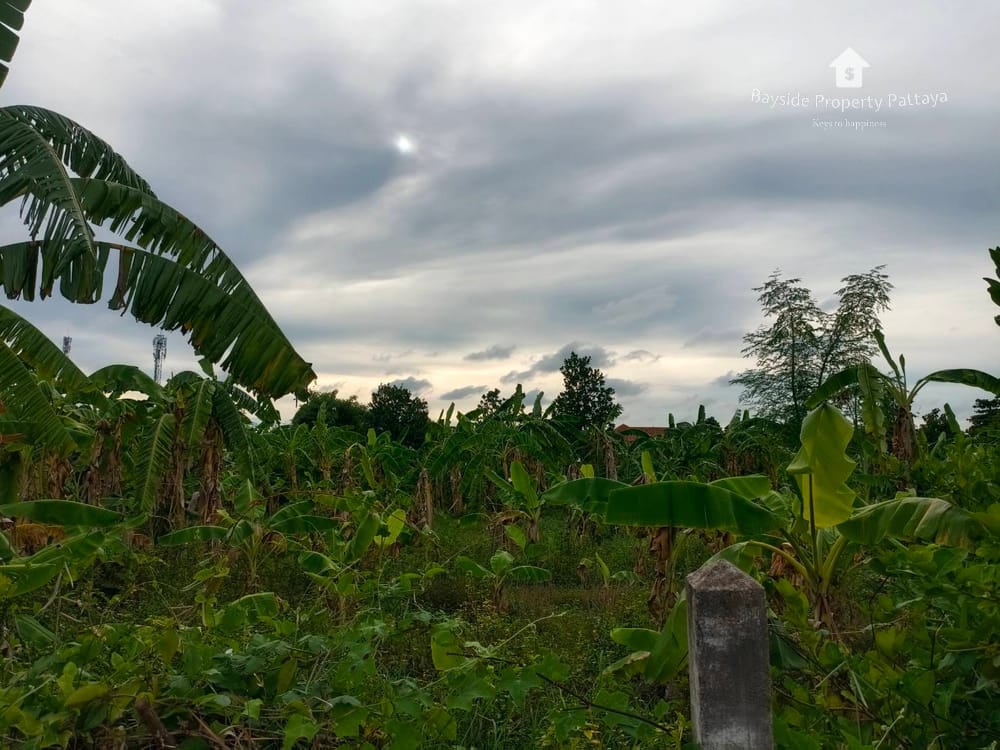 Prime Land for Sale in East Pattaya - Close to Restaurants with City Views 4