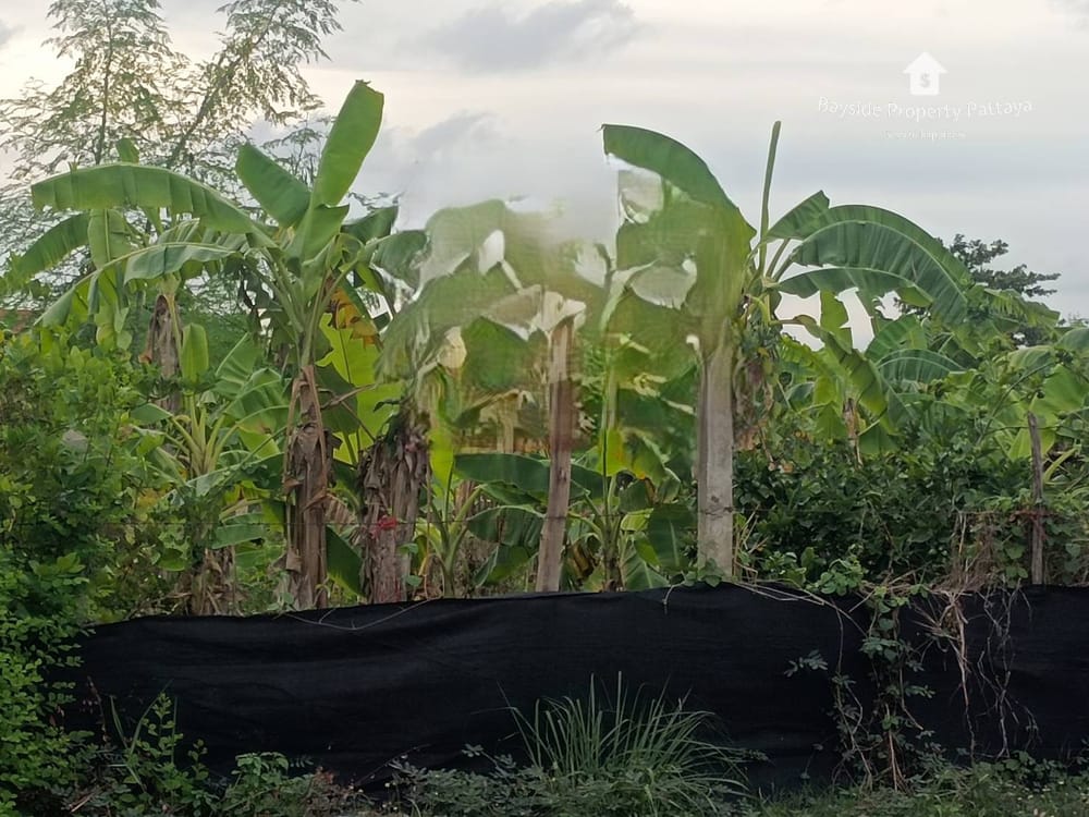 Prime Land for Sale in East Pattaya - Close to Restaurants with City Views 5