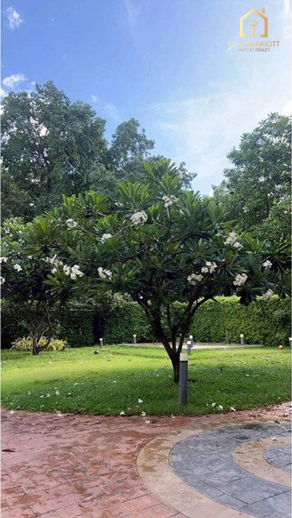 เช่า 3 ห้องนอน 3 ห้องน้ำ บ้าน ใน สุขุมวิท, กรุงเทพฯ 2