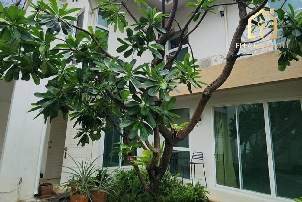 Rent 80K | 2BR 4BA Single House | Pet-Friendly | Sukhumvit 49 5