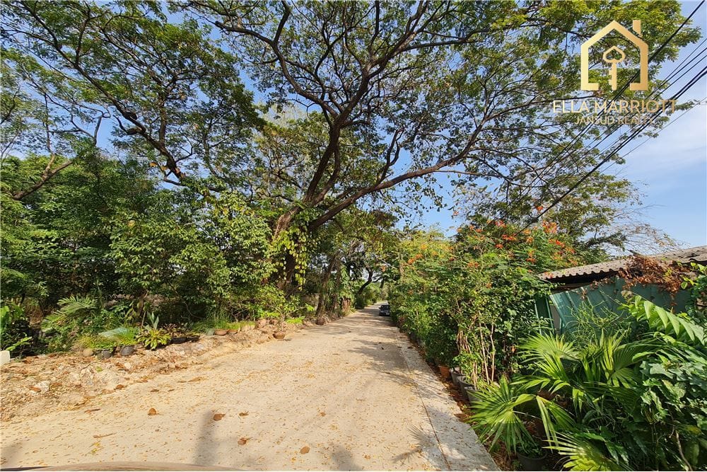 ขาย 5 ห้องนอน 4 ห้องน้ำ บ้าน ใน สุขุมวิท, กรุงเทพฯ 16
