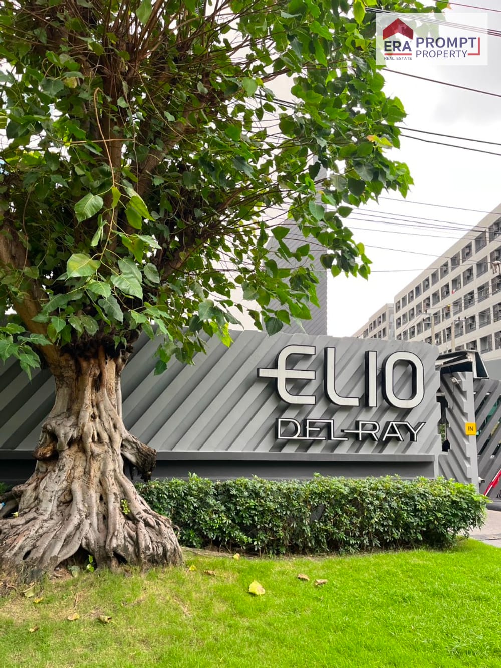 Condo for Sale: Elio Del Ray – Start your new life in a prime Sukhumvit 64 location. Beautiful, ready-to-move-in unit at an affordable price. Enjoy a peaceful atmosphere with full facilities for a simple yet fulfilling lifestyle. 2