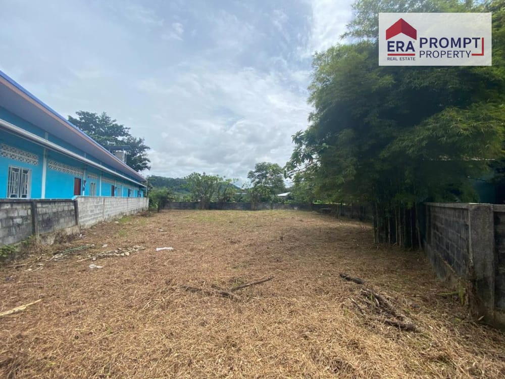 [Urgent Sale] Cheapest Land Plot in the Area – Saku, Thalang, Phuket 1-1-60.9 Rai near Phuket Airport and Nai Yang Beach, only 3.8 MB (Chanote Title) 2