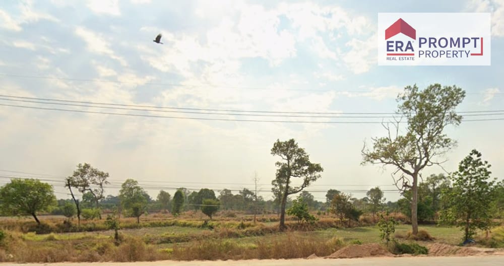 Prime Land for Sale 3
