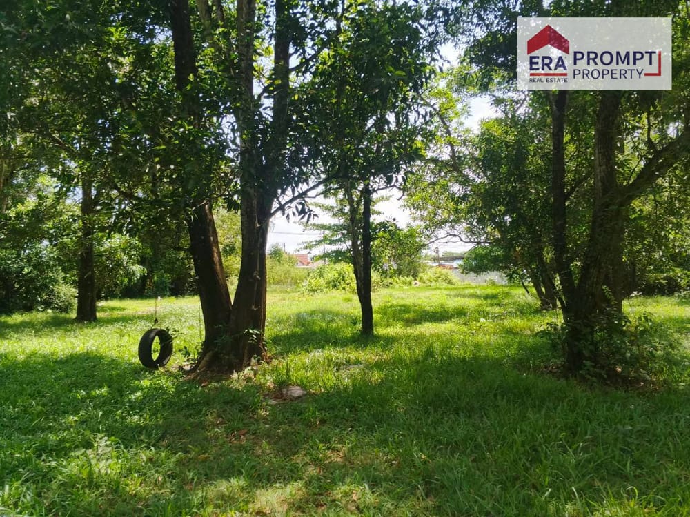 🌿 Urgent Sale! Beautiful Land Plot in a Prime Location with Amazing Vibes 🌿✨ 1