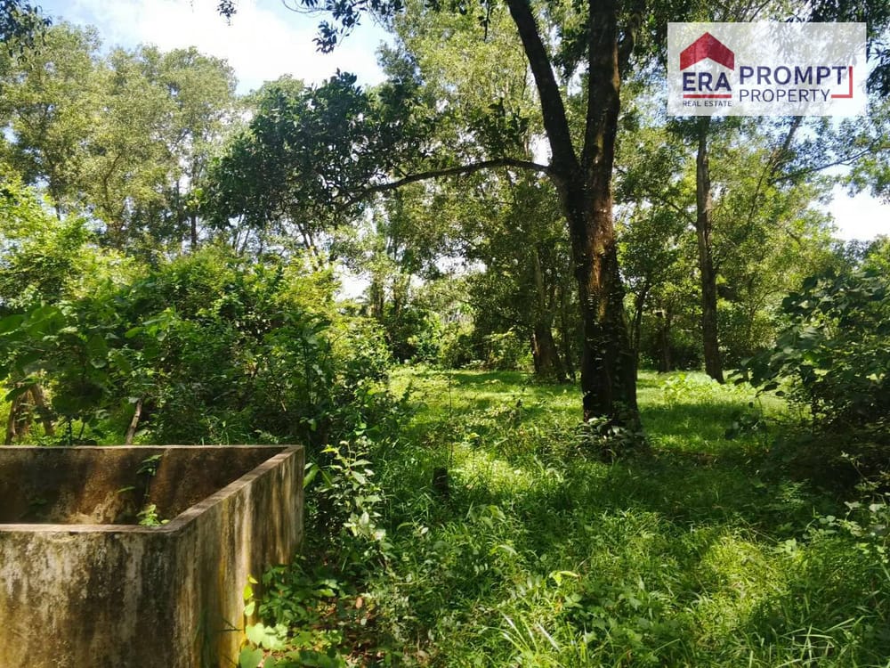 🌿 Urgent Sale! Beautiful Land Plot in a Prime Location with Amazing Vibes 🌿✨ 3