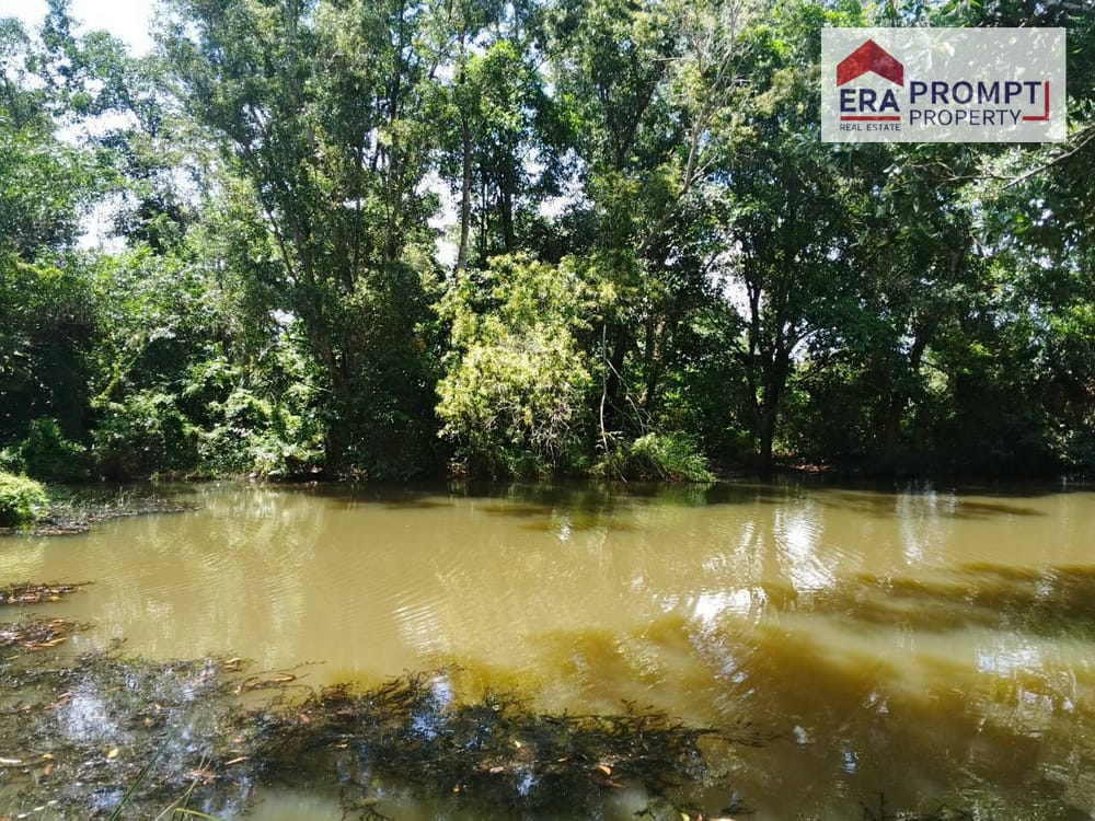 🌿 Urgent Sale! Beautiful Land Plot in a Prime Location with Amazing Vibes 🌿✨ 4