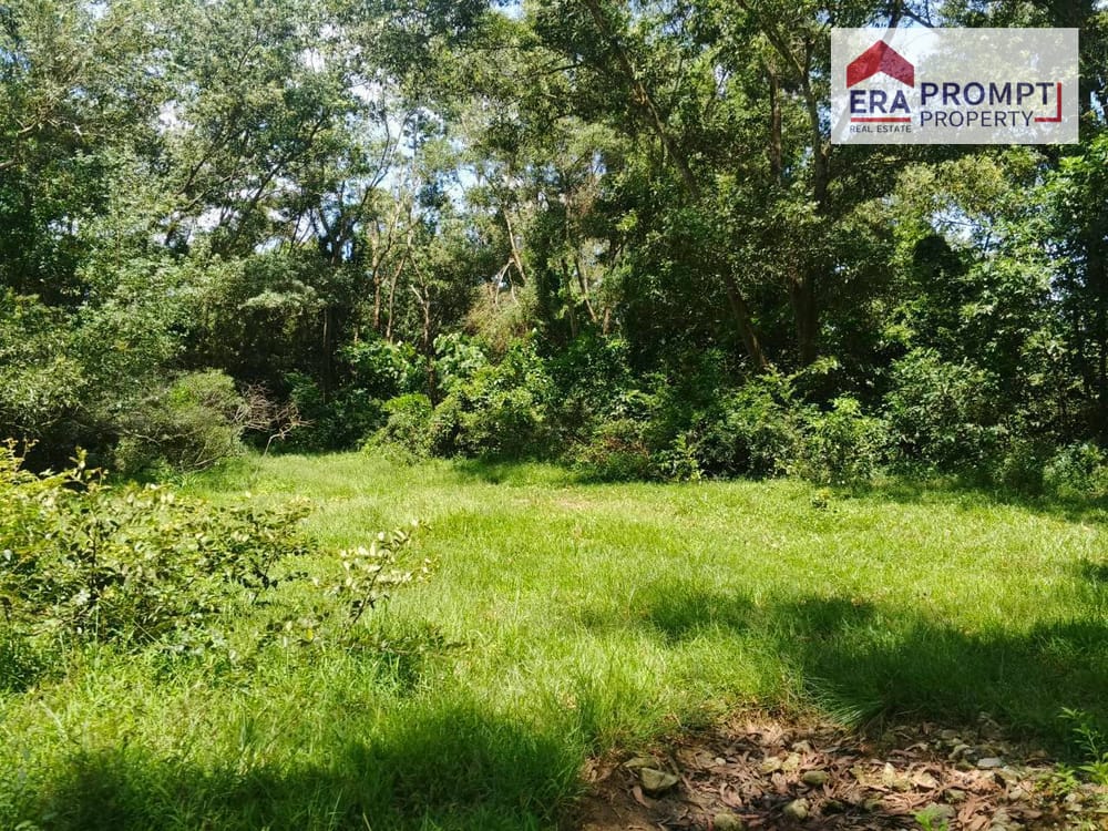 🌿 Urgent Sale! Beautiful Land Plot in a Prime Location with Amazing Vibes 🌿✨ 5