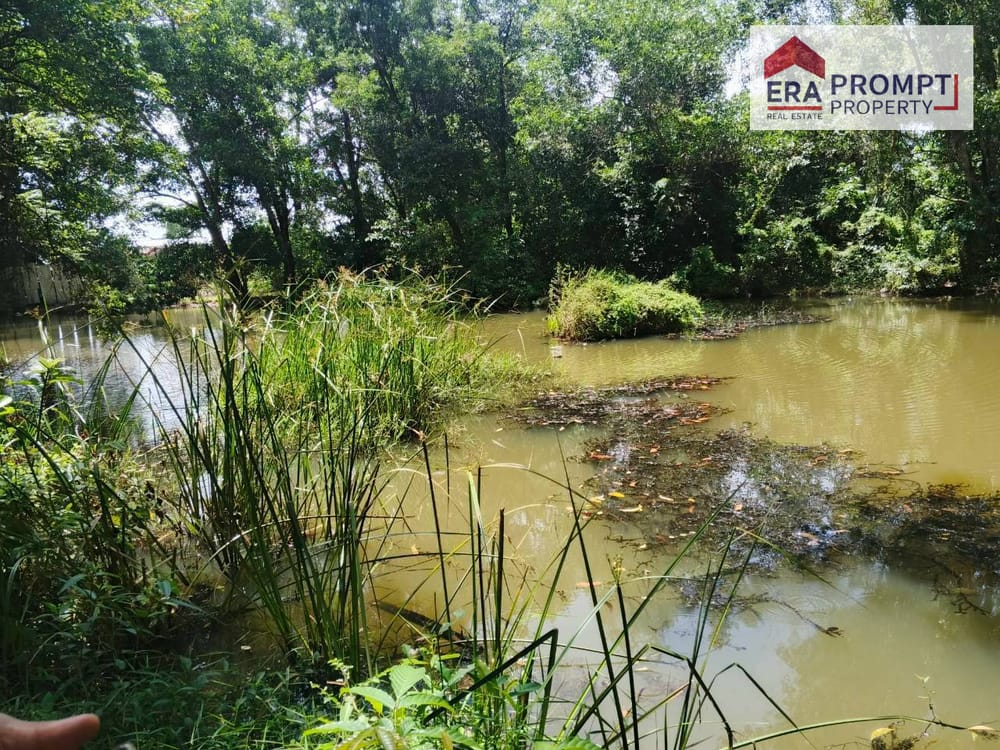 🌿 Urgent Sale! Beautiful Land Plot in a Prime Location with Amazing Vibes 🌿✨ 6