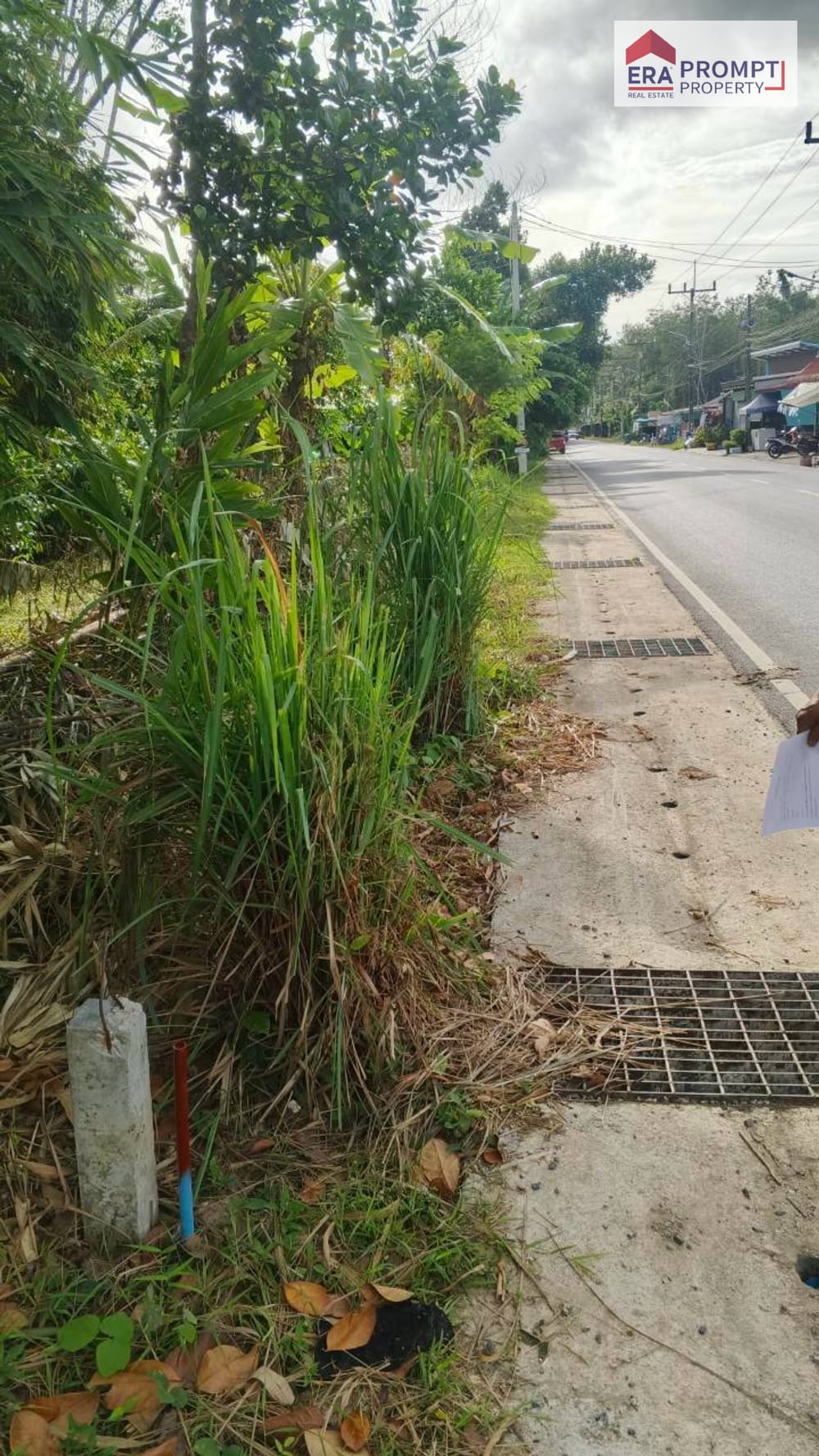 🔥 Urgent Sale! Beautiful Prime Land Plot Next to the Main Road in Phuket 🔥✨ 4