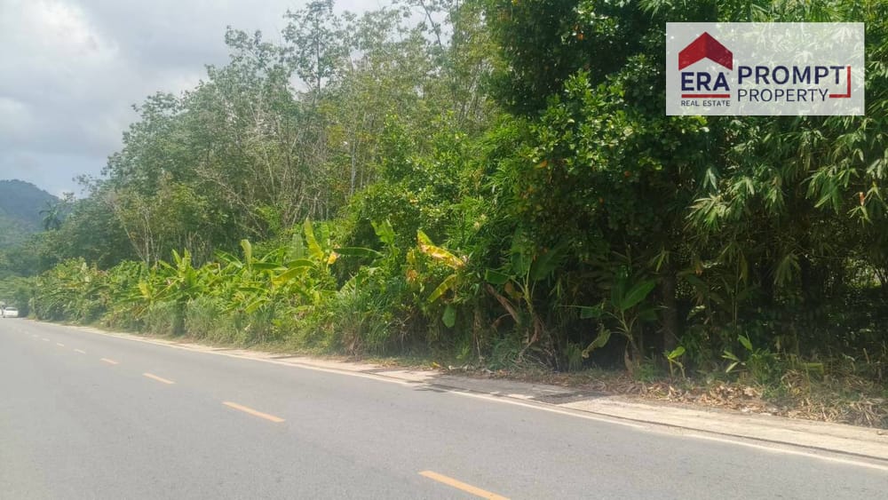 🔥 Urgent Sale! Beautiful Prime Land Plot Next to the Main Road in Phuket 🔥✨ 5