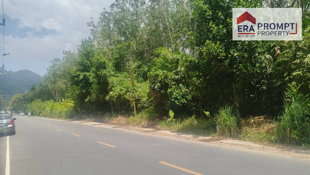 🔥 Urgent Sale! Beautiful Prime Land Plot Next to the Main Road in Phuket 🔥✨ 6