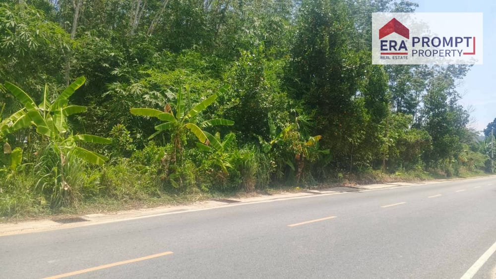 🔥 Urgent Sale! Beautiful Prime Land Plot Next to the Main Road in Phuket 🔥✨ 2