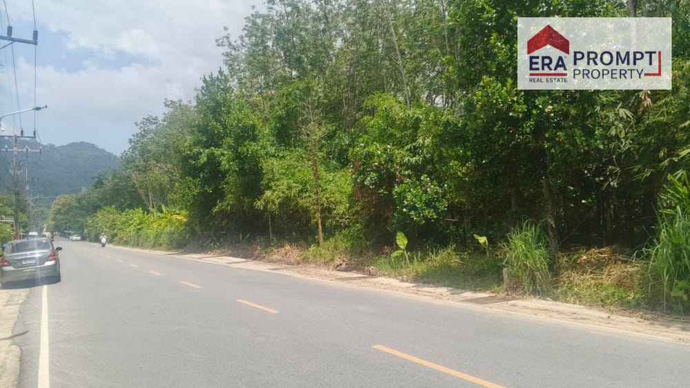 🔥 Urgent Sale! Beautiful Prime Land Plot Next to the Main Road in Phuket 🔥✨ 3