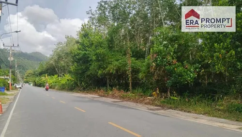 urgent-sale-beautiful-prime-land-plot-next-to-the-main-road-in-phuket-era-pp-340
