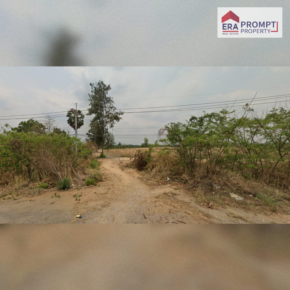 🌿 เปิดแปลงพิเศษ สวนผึ้ง – ที่ดินขนาดใหญ่ 66 ไร่ ติดถนนใหญ่ เหมาะสำหรับโครงการระดับ Destination 3