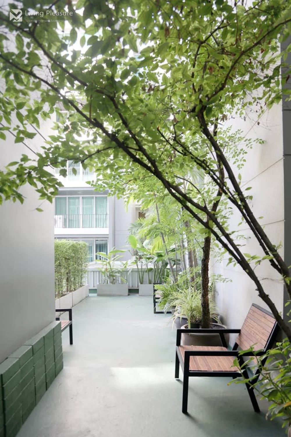 DLV Condo – Thonglor 20 - Top Floor Duplex | 2 Bed 2 Bath 6