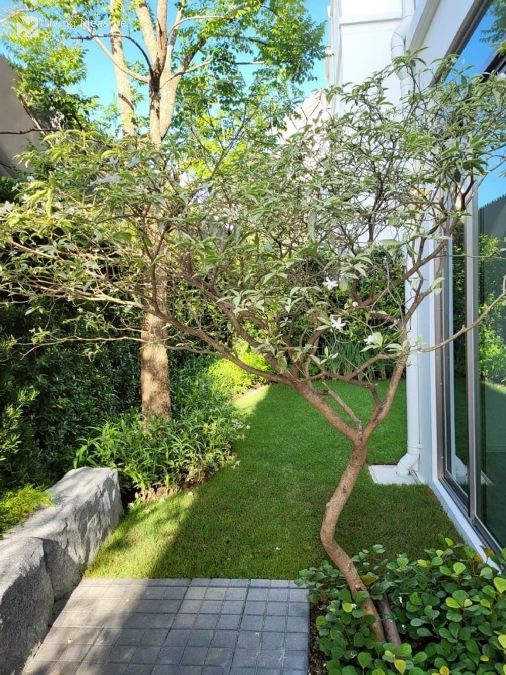 Spacious 4-Bedroom Detached House for Rent at Vive Rama 9 - Pet Friendly 33