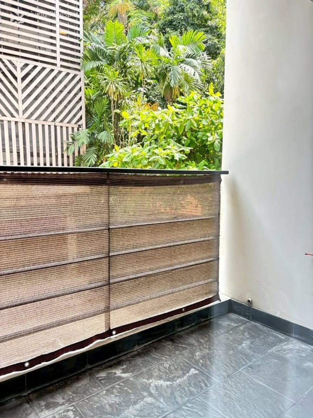 2-Bedroom Condo for Sale and Rent at Tree Condo Sukhumvit 42 - Near BTS Ekkamai 8