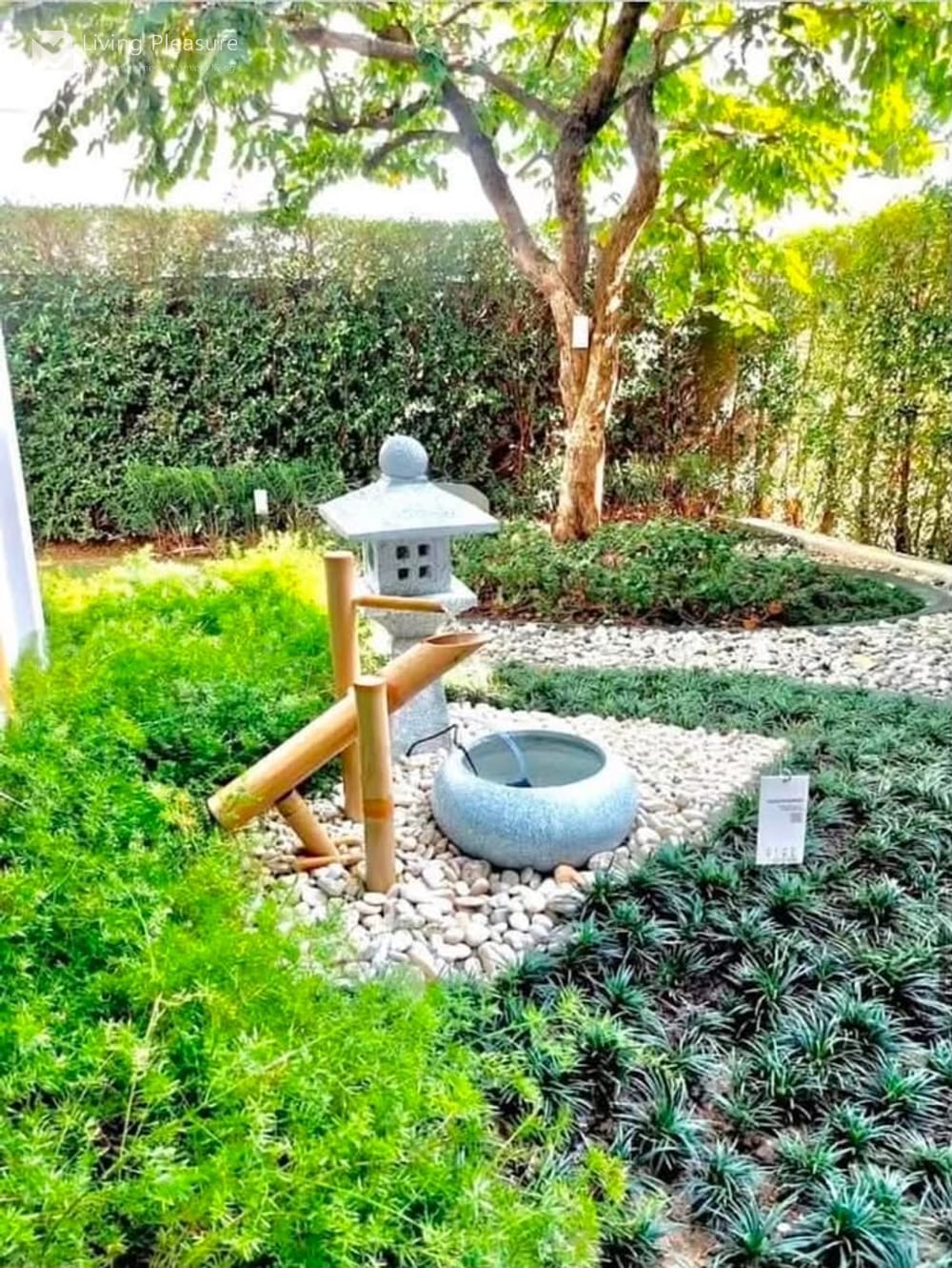3-Bedroom House for Sale and Rent in VIVE Rama 9, Bang Kapi, Bangkok 13