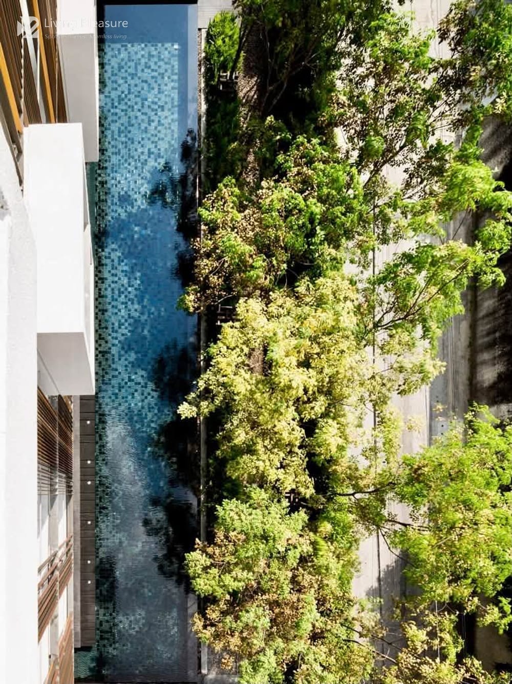 2-Bedroom Condo for Rent at Via 31, Upper Sukhumvit - Pet Friendly, Near BTS Phrom Phong 24