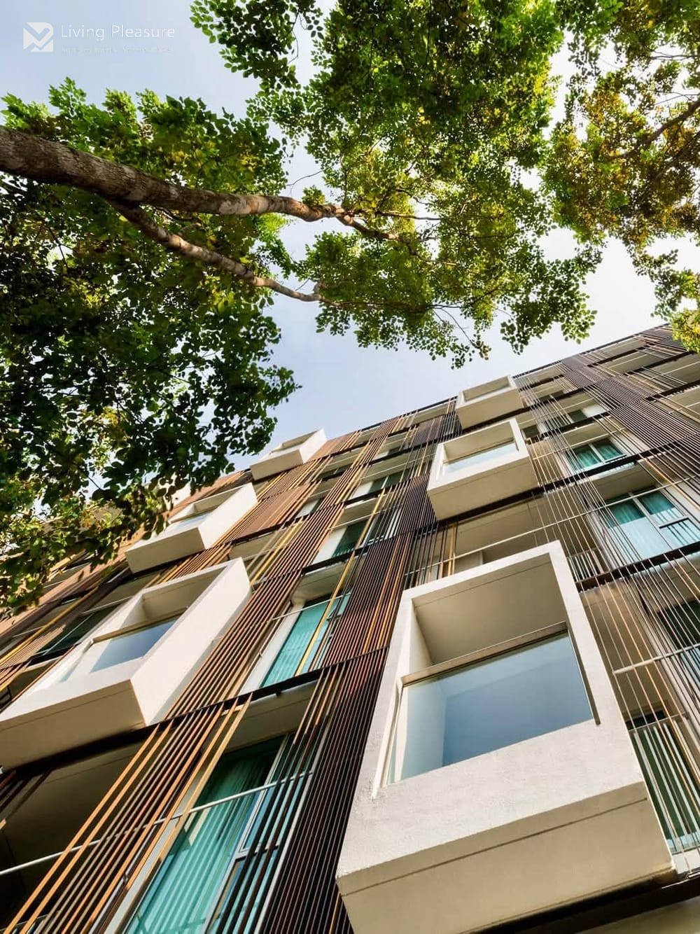 2-Bedroom Condo for Rent at Via 31, Upper Sukhumvit - Pet Friendly, Near BTS Phrom Phong 27