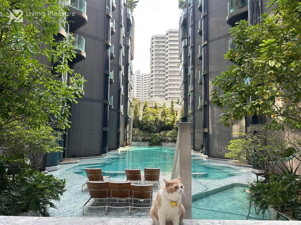 ขาย 2 ห้องนอน คอนโด ใน แอชตัน เรสซิเดนซ์ 41 (Ashton Residence 41) 1