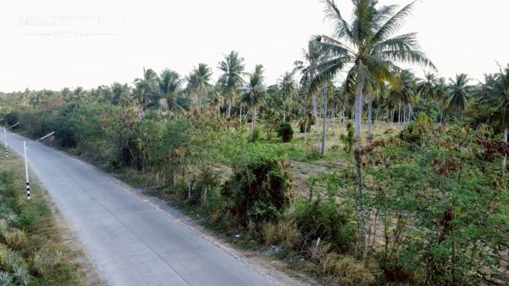  Image 6